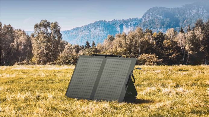 Солнечная панель EcoFlow 60W Solar Panel