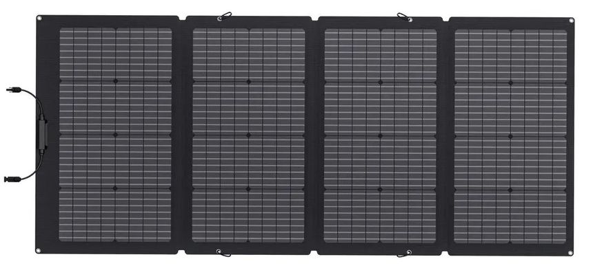 Набор EcoFlow DELTA Mini + 220W Solar Panel
