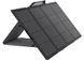 Набір EcoFlow DELTA Max(1600) + 220W Solar Panel