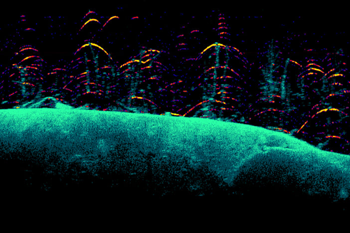 Eagle DownScan Imaging